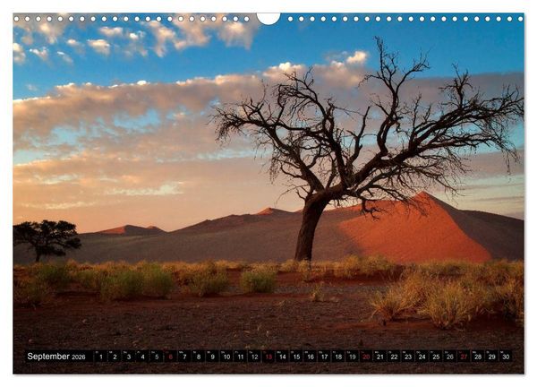 Produktbild: Afrikas B&auml;ume (Wandkalender 2026 DIN A3 quer), CALVENDO Monatskalender