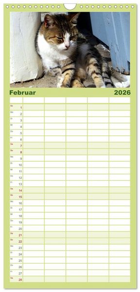 Produktbild: Familienplaner 2026 - SAMTPFOTEN "fellnah" mit 5 Spalten (Wandkalender, 21 x 45 cm) CALVENDO
