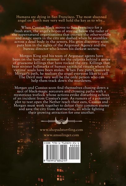 Produktbild: Fractured Souls (Fallen Messengers Book 1)