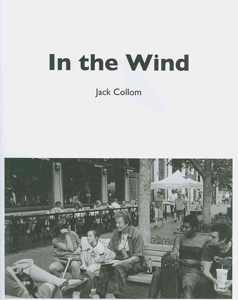 Produktbild: In The Wind
