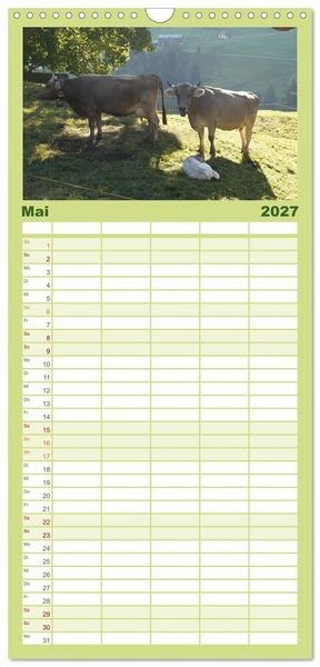 Produktbild: Familienplaner 2027 - K&uuml;he mit H&ouml;rnern mit 5 Spalten (Wandkalender, 21 x 45 cm) CALVENDO