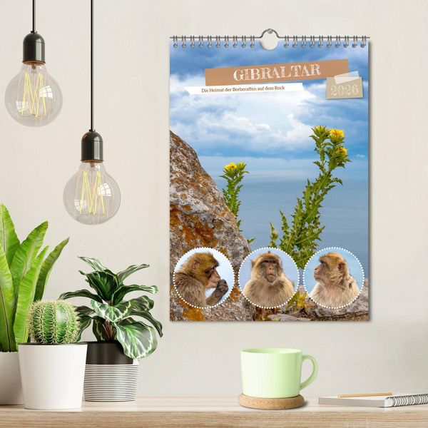 Produktbild: Gibraltar - Die Heimat der Berberaffen auf dem Rock (Wandkalender 2026 DIN A4 hoch), CALVENDO Monatskalender