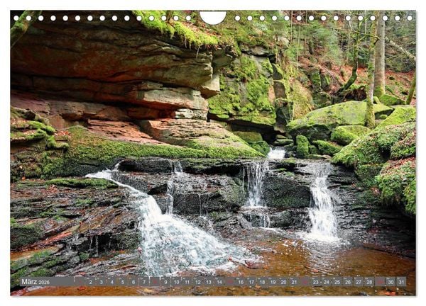 Produktbild: Schwarzwald-Wanderungen (Wandkalender 2026 DIN A4 quer), CALVENDO Monatskalender