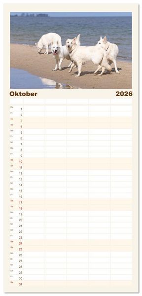 Produktbild: Familienplaner 2026 - Berger Blanc Suisse - Weggef&auml;hrten auf 4 Pfoten mit 5 Spalten (Wandkalender, 21 x 45 cm) CALVENDO