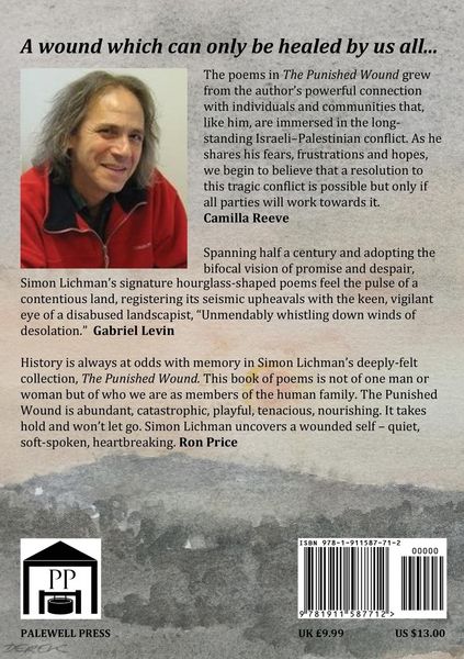 Produktbild: The Punished Wound