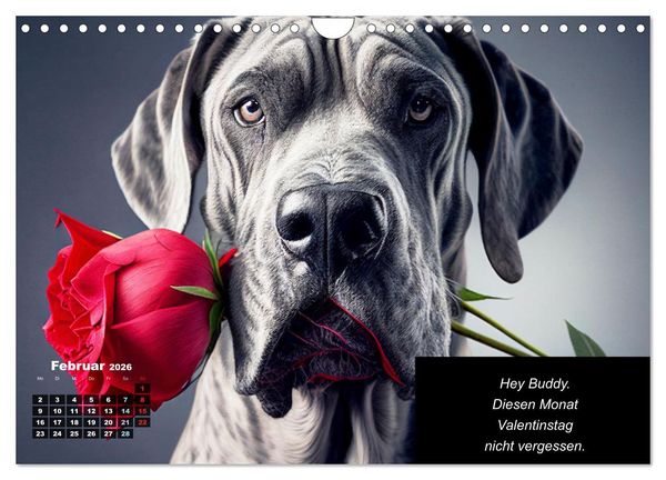 Produktbild: Der humoristische Dogge Kalender (Wandkalender 2026 DIN A4 quer), CALVENDO Monatskalender