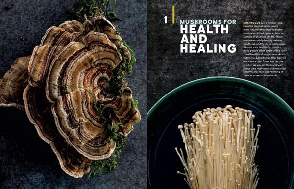 Produktbild: Christopher Hobbs's Medicinal Mushrooms: The Essential Guide