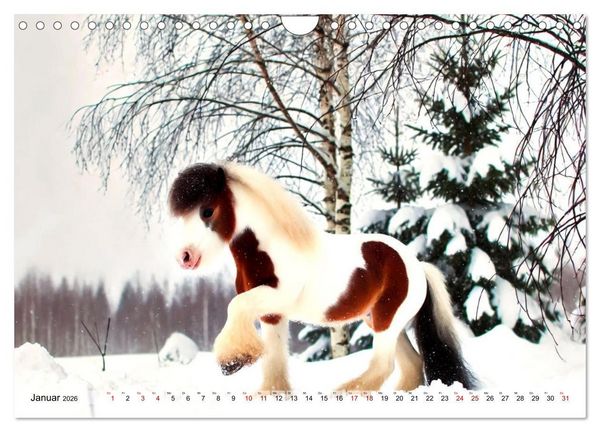 Produktbild: Faszination Tinker (Wandkalender 2026 DIN A4 quer), CALVENDO Monatskalender
