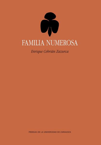 Produktbild: Familia numerosa