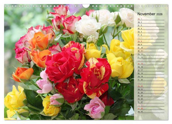 Produktbild: Rosensommer (Wandkalender 2026 DIN A3 quer), CALVENDO Monatskalender