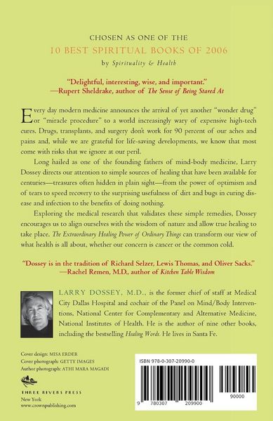 Produktbild: The Extraordinary Healing Power of Ordinary Things