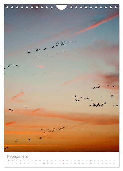 Produktbild: Der Flug der Kraniche (Wandkalender 2026 DIN A4 hoch), CALVENDO Monatskalender