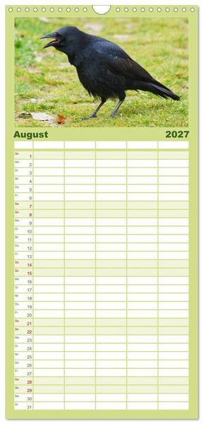 Produktbild: Familienplaner 2027 - Das Leben der Rabenv&ouml;gel mit 5 Spalten (Wandkalender, 21 x 45 cm) CALVENDO