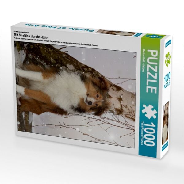 CALVENDO Puzzle Ein Motiv aus dem Kalender Mit Shelties durchs Jahr | 1000 Teile Lege-Größe 64x48cm Foto-Puzzle für glückliche Stunden