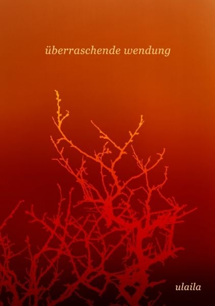 Produktbild: &uuml;berraschende wendung
