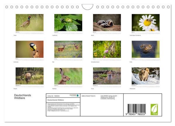 Produktbild: Deutschlands Wildtiere (Wandkalender 2026 DIN A4 quer), CALVENDO Monatskalender
