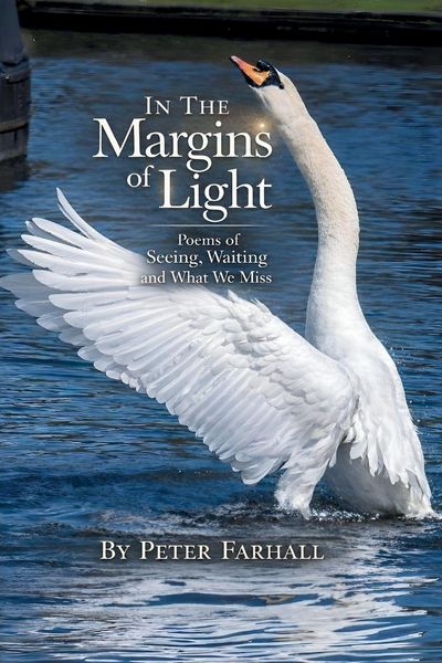 Produktbild: In the Margins of Light