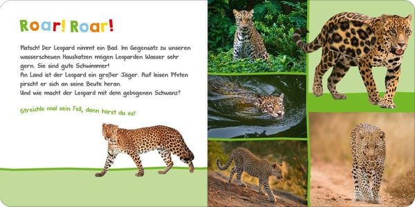 Produktbild: H&ouml;r mal rein, wer kann das sein? &ndash; Im Dschungel