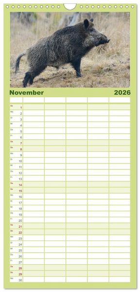 Produktbild: Familienplaner 2026 - Wildschweine &ndash; Wildlife Fotografien mit 5 Spalten (Wandkalender, 21 x 45 cm) CALVENDO