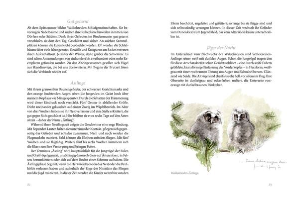 Produktbild: Gartenv&ouml;gel
