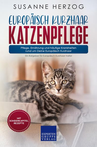 Produktbild: Europ&auml;isch Kurzhaar Katzenpflege - Pflege, Ern&auml;hrung und h&auml;ufige Krankheiten rund um Deine Europ&auml;isch Kurzhaar