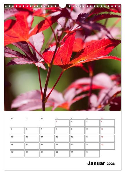 Produktbild: Farben der Natur (Wandkalender 2026 DIN A3 hoch), CALVENDO Monatskalender
