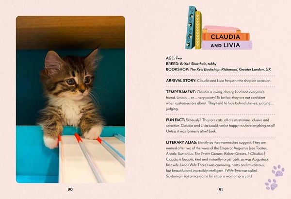Produktbild: Bookshop Cats Hb
