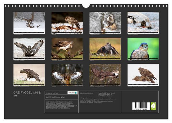 Produktbild: GREIFV&Ouml;GEL wild & frei (Wandkalender 2026 DIN A3 quer), CALVENDO Monatskalender