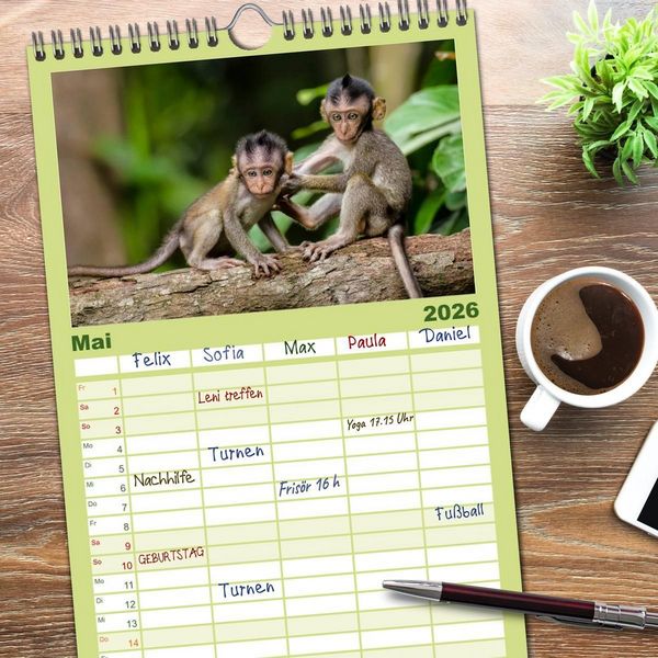 Produktbild: Familienplaner 2026 - Affen - Affenkinder mit 5 Spalten (Wandkalender, 21 x 45 cm) CALVENDO