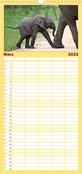Produktbild: Familienplaner KR&Uuml;GER NATIONALPARK Afrikas Perle (Wandkalender 2022 , 21 cm x 45 cm, hoch)
