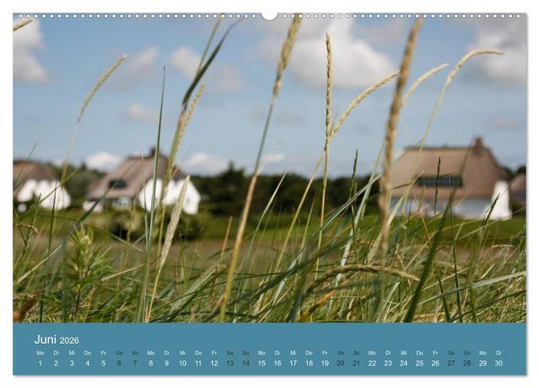 Produktbild: F&ouml;hr 2026. Portr&auml;t einer Insel (hochwertiger Premium Wandkalender 2026 DIN A2 quer), Kunstdruck in Hochglanz