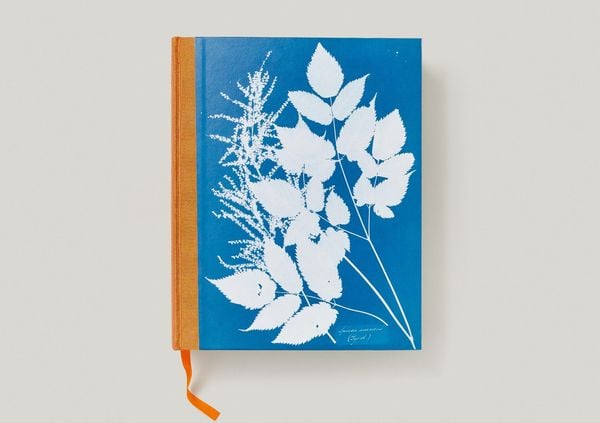 Produktbild: Anna Atkins. Cyanotypes
