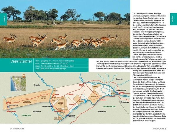 Produktbild: Safari-Reisef&uuml;hrer S&uuml;dliches Afrika