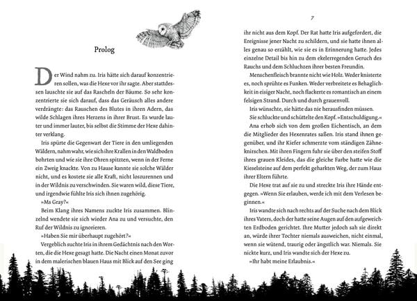Produktbild: Wild is the Witch. Verfluchte N&auml;he