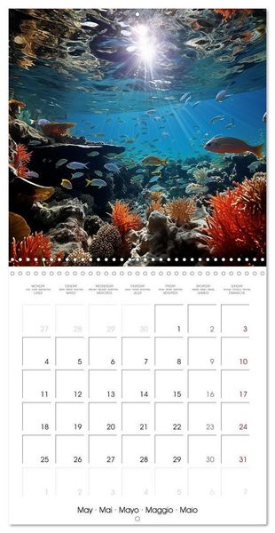 Produktbild: Beside tropical beaches (Wall Calendar 2026 12 &times; 12 Inch) CALVENDO 12 Month Wall Calendar
