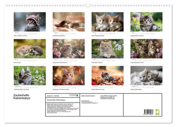 Produktbild: Zauberhafte Katzenbabys (Wandkalender 2026 DIN A2 quer), CALVENDO Monatskalender