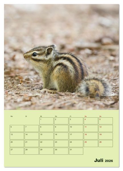 Produktbild: H&ouml;rnchen aus aller Welt (Wandkalender 2026 DIN A3 hoch), CALVENDO Monatskalender