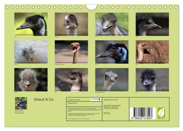 Produktbild: Strau&szlig; & Co. (Wandkalender 2026 DIN A4 quer), CALVENDO Monatskalender