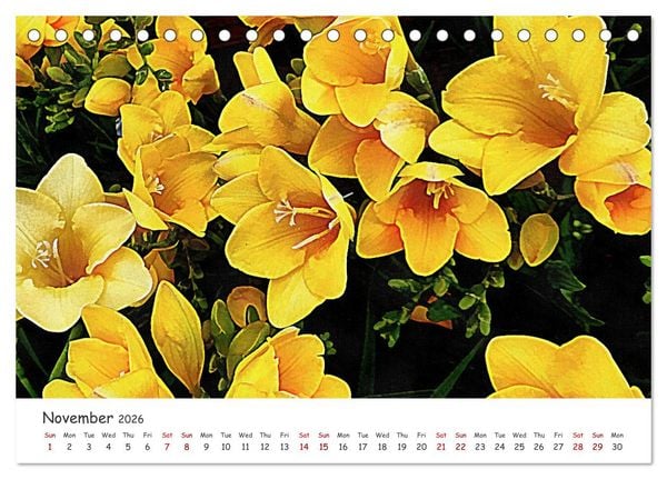 Produktbild: Vivacious Florals (Desk Calendar 2026 DIN A5 landscape), CALVENDO 12 Month DeskCalendar