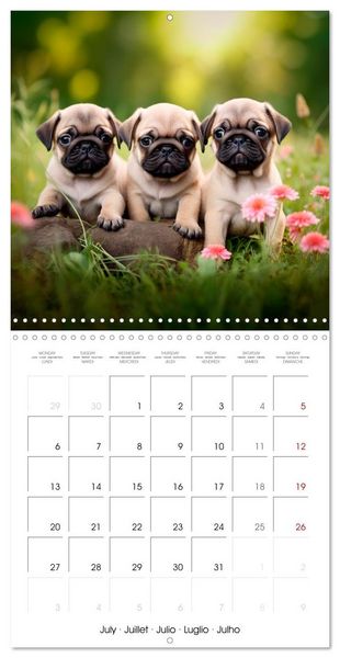 Produktbild: PUGS Cute and cuddly doggies (Wall Calendar 2026 12 &times; 12 Inch) CALVENDO 12 Month Wall Calendar