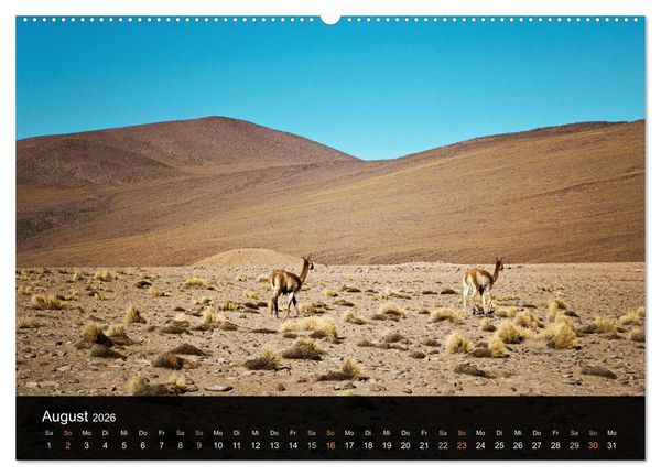 Produktbild: Atacama: Die W&uuml;ste im Norden Chiles (hochwertiger Premium Wandkalender 2026 DIN A2 quer), Kunstdruck in Hochglanz