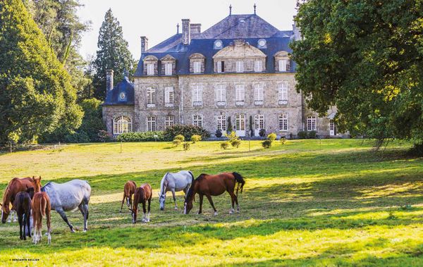 Produktbild: Destination Wellness - Unsere 35 besten Orte der Welt zum Entspannen