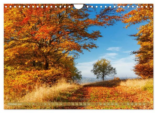 Produktbild: Wege zur Entspannung 2026 (Wandkalender 2026 DIN A4 quer), CALVENDO Monatskalender