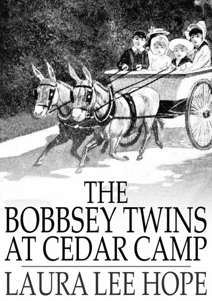 Produktbild: Bobbsey Twins at Cedar Camp