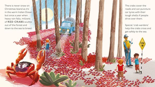 Produktbild: Amazing Animal Journeys