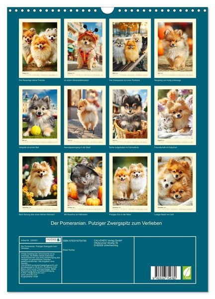 Produktbild: Der Pomeranian. Putziger Zwergspitz zum Verlieben (Wandkalender 2027 DIN A3 hoch), CALVENDO Monatskalender