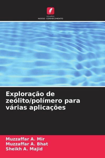 Produktbild: Explora&ccedil;&atilde;o de ze&oacute;lito/pol&iacute;mero para v&aacute;rias aplica&ccedil;&otilde;es
