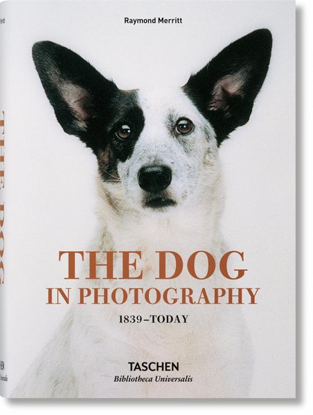 Produktbild: The Dog in Photography 1839&ndash;Today