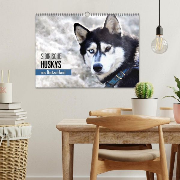 Produktbild: Sibirische Huskys aus Deutschland (Wandkalender 2026 DIN A3 quer), CALVENDO Monatskalender
