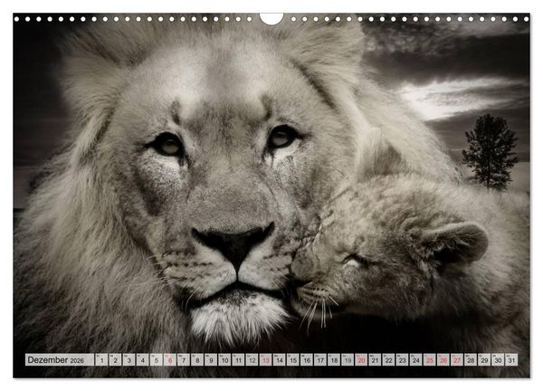 Produktbild: Wilde Tiere in schwarz-wei&szlig; (Wandkalender 2026 DIN A3 quer), CALVENDO Monatskalender